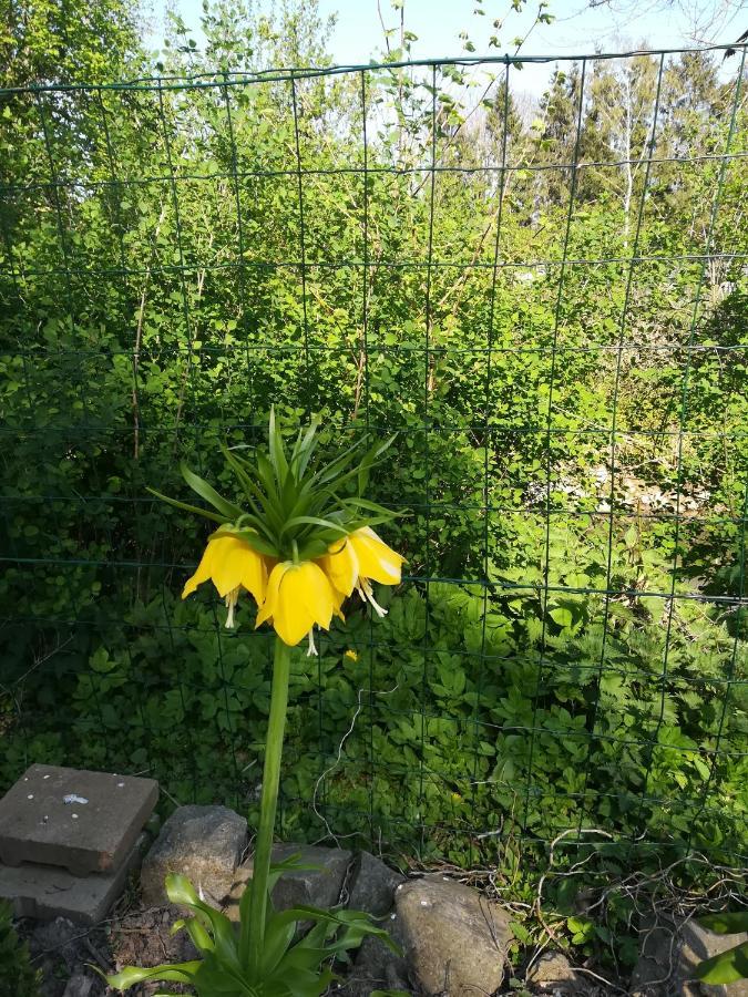 B&B De Dubbelmolen Tongeren Eksteriør billede
